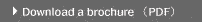 dl-a-burochure